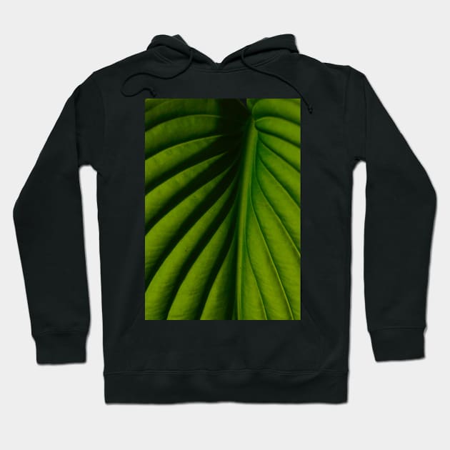 The Veins of Life Hoodie by aestheticand